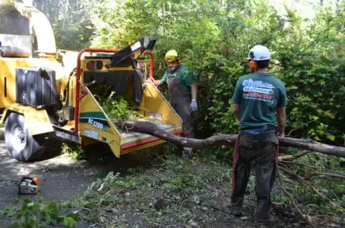 tree services South Patrick Shores